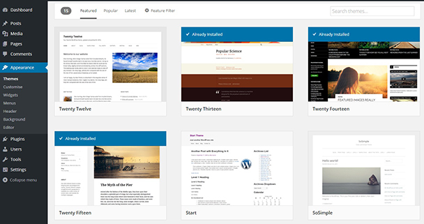 Choose WordPress Theme - TechyK
