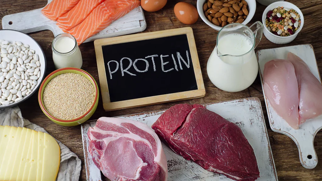 Increase Protein intake - Lose weight fast
