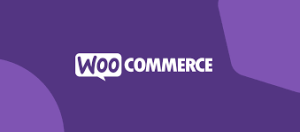 WooCommerce - Woocommerce Plugins